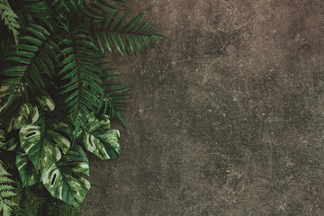 Wall Mural - Lay out the creative frame of a tropical flat nature. Place Monstera coconut adn fern on the wood White color, a plastered wall, a rustic grunge with a retro holiday, tropical jungle and travel conce