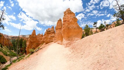 Poster - Trail along Bryce Canyon National Park, Utah