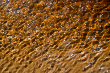 Peat-colored Shallow Water Of River Close Up. Peat River Shallow Clear Water Shimmering At Bright Sunlight On Sunny Day In Wild Area Close Up