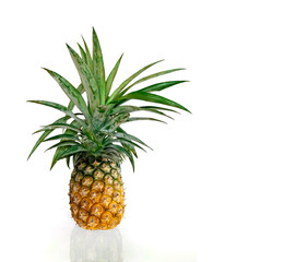 Fresh  pineapple fruit on white background with copy space for your text,  sweet Tasty raw whole tropical fruit, healthy food concept