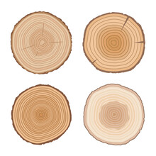 Set Of Tree Cross Sections. Wooden Elements With Tree Rings.Isolated On White Background. Flat Style, Vector Illustration. 