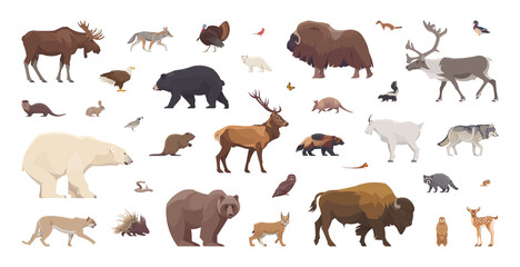flat set of north american animals. isolated animals on white background. vector illustration