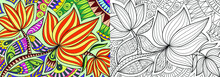 Decorative Floral Coloring Book Page Illustration For Adults Art Drawing Relaxing 