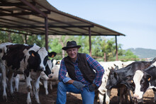 A Farmer In A Cowboy Hat Is Happy Next To His Cows.