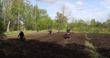 Wall Mural - People in the field in the garden with a tillerblock to plant potatoes.