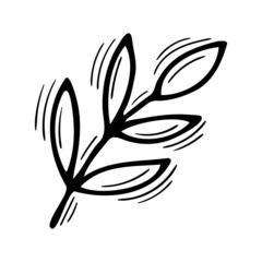 Wall Mural - Hand drawn floral plant element. Sketch of branch with leaves. Decorative element for your design