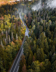 Wall Mural - Aerial view of curvy road passing through the autumn forest, top view