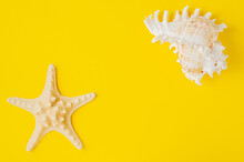 A Large Starfish And A Starfish On A Yellow Background. Copy Space