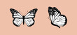 Black and white flying butterflies set isolated on pink background. Vector illustration for patterns, prints, coloring page.