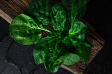 Large Spinach, A Plant Of The Amaranth Family, On A Wooden Plate Against A Dark Background