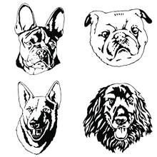 Set Of Four Dogs. Heads Of French Bulldog, German Shepherd, Pug, Labrador. The Portraits Of Pedigree Dogs Isolated On The White Background. Vector Hand Drawing Illustration.