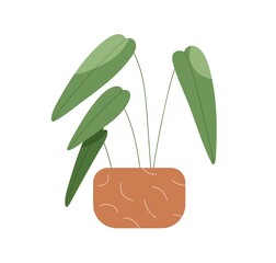Wall Mural - Green leaf house plant in pot. Foliage houseplant in flowerpot. Home natural decoration growing in planter. Office interior decor with leaves. Flat vector illustration isolated on white background
