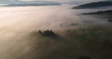 Wall Mural - Fog In The Mountains Covers The Entire Surface. Carpathians