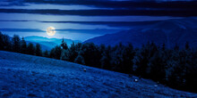 Mountain Landscape At Night. Beech Forest On The Grassy Meadow In Full Moon Light. Last Days Of Summer. Travel And Tourism Concept