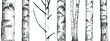 black and white stylized drawing of tree trunks