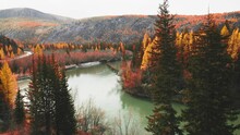 Chuya River In Altai Mountains, Siberia, Russia. Aerial Drone View. Blue River With Yellow Autumn Trees In The Mountains At Sunset. Beautiful Autumn Landscape.
