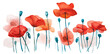 Watercolor painting red poppy flowers. Creative floral illustration, summer nature background.