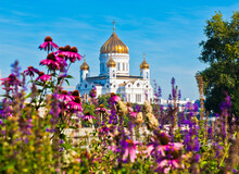 Beautiful Summer Flowers And The Building Of The Cathedral Of Christ The Saviour On The Background. Sunny Morning In Moscow. Russia