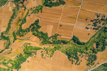 Wall Mural - Summer golden wheat fields