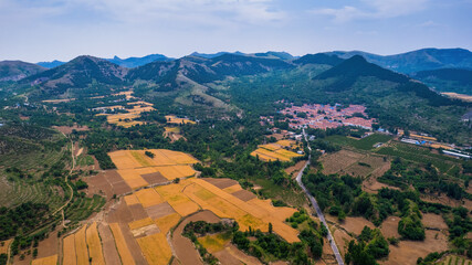 Poster - Summer golden wheat fields