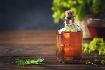 Wall Mural - bottle of maple syrup or healthy tincture, infusion and spring maple leaf. natural healthy food. alt
