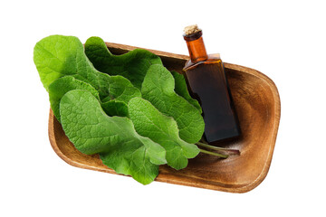 Wall Mural - Bottle of Burdock infusion or tincture and leaves of arctium lappa - latin name for Burdock. Isolated on white. Top view.