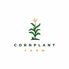 Corn Stalk, Corn Tree, Corn Plant Logo Design Vector Illustration