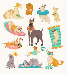 Wall Mural - Funny comic dogs with beach accessories vector illustrations set. Portraits of cute puppy cartoon characters with swimming accessories isolated on white background. Summer, vacation, pets concept