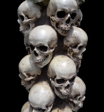 Human Skulls Close-up. Halloween Dia De Los Muertos Celebration. Black Background.