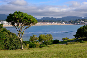 Wall Mural - Bay of Saint-Jean-de-Luz view of the cliff, with all the coastal buildings along the beach. Saint-Jean-de-Luz is a commune in the Pyrénées-Atlantiques department in south-western France