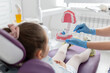 © яна винникова - Dentist showing a little girl on dentures how to brush her teeth properly