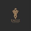 Eagle logo design template. vector illustration