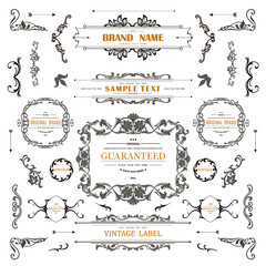 Wall Mural - set of vintage decorations flourishes elements.