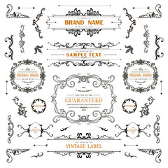 Wall Mural - set of vintage decorations flourishes elements.