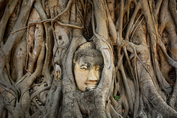 Poster - face of buddha