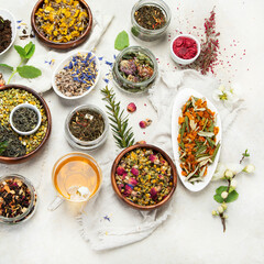 Wall Mural - Herbal tea assortment on dark background.