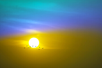 Wall Mural - sunset on the evening aqua blue yellow cloud on the sky birds flying