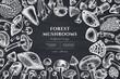 Forest mushrooms hand drawn illustration design. Background with chalk mushrooms, fly agaric, blewit, etc.
