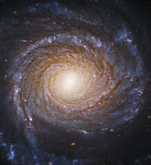 Wall Mural - spiral galaxy ngc 3147 constellation of draco. elements of this picture furnished by nasa