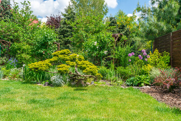 A garden in early summer. Outdoor living space