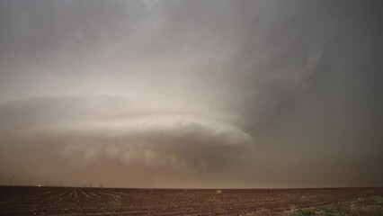 Wall Mural - Supercell storm moving through Texas as lightning flashes and dirt blows during tornado warning near Morton.
