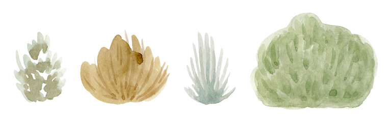 hand painted watercolor illustration trees and bushes.