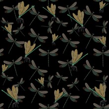Seamless Pattern With Dragonfly On Black Background. Insects Illustration For Fabric, Wallpapers, Nursing, Paper, Books, Wraps, Kids Design, Textile.