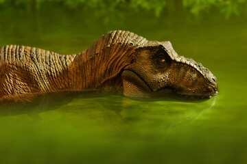 Wall Mural - Dinosaur 3d rendering, Tyrannosaurus Rex swimming