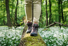 Hiking Boot. Tourist Walking On Fallen Tree Trunk In Forest