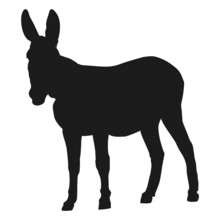 Donkey Silhouette. High Quality Vector