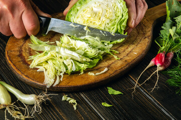 Chef cuts fresh cabbage with knife for salad on a kitchen table with fresh vegetables. Cooking and restaurant or hotel concept