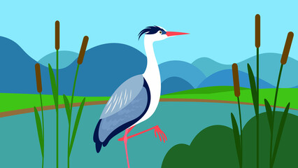  The heron stands on one leg in the lake