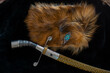 An ancient saber. A chic version of a combat weapon lying on a fur cape next to a hat. The atmosphere of the ancient East.