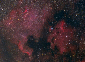 Wall Mural - the north america and pelican nebulae in the constellation of cygnus